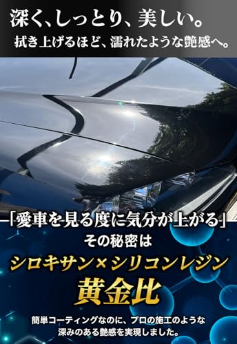 爆弾鬼-バクハジキ 撥水コーティング 車 【高濃度シリコーンレジン配合x簡単施工で爆撥水x驚きの艶xガラス面にも使えるマルチコーティング】 コーティング剤 カーコーティング剤 日本製 200ml 中間 画像