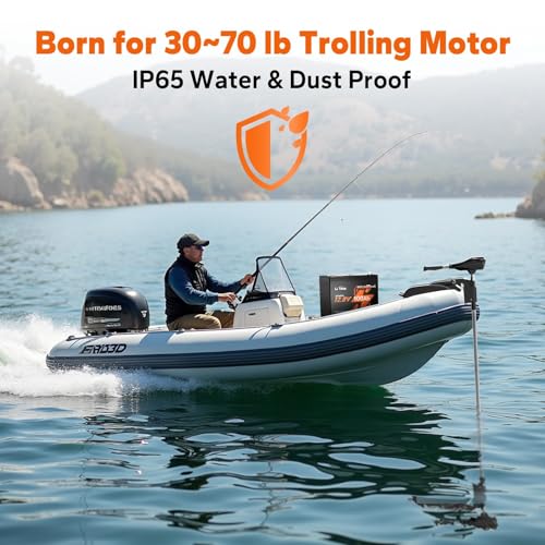 LiTime 12V100Ahリン酸鉄リチウムイオンバッテリー 小型化 BCI Group24サイズ 15000回サイクル可能 1280Wh電力量 高エネルギー密度 LiFePO4バッテリー バン、トレーラー、RV、キャンピングカー、釣り、オフグリッドに適用(2個セット) 中間 画像